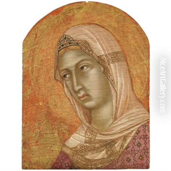 Head Of A Female Saint Oil Painting by Niccolo Segna di Buonaventura