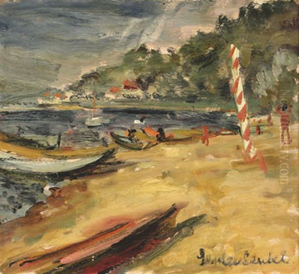 The Sea Shore Oil Painting by Efraim Seidenbeutel