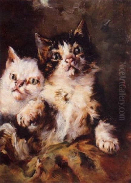 Kittens At Play Oil Painting by Alejandro Seiquer