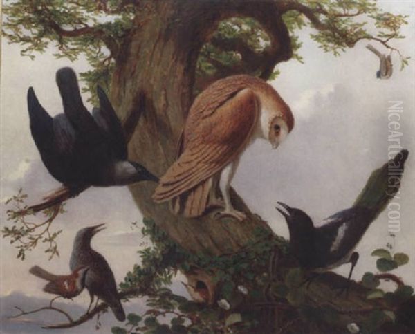 Birds On The Branch Of An Oak Tree Oil Painting by Prideaux John Selby