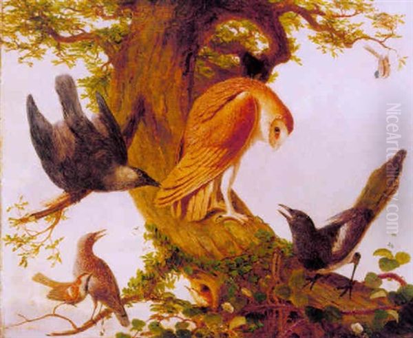 An Assembly Of Birds On The Branch Of An Oak Tree Oil Painting by Prideaux John Selby