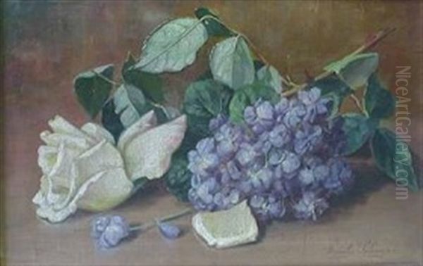 Still Life With White Rose And Wisteria Oil Painting by Emily Selinger