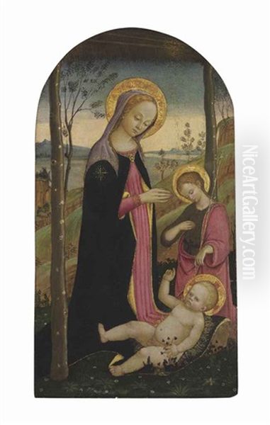 The Madonna Adoring The Christ Child Oil Painting by Jacopo Del Sellaio