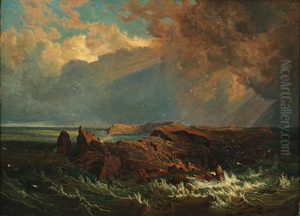 Island Of St. Paul In The Indian Ocean Oil Painting by Josef Selleny