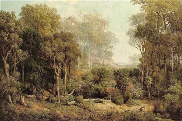 Australischer Wald. Character Des Illawara Gebietes (australian Forest In The Illawarra District) Oil Painting by Josef Selleny