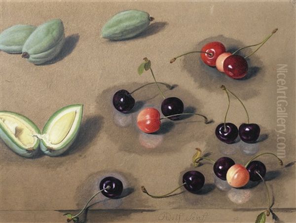 Etude De Fruits Oil Painting by Adolf (Carl) Senff