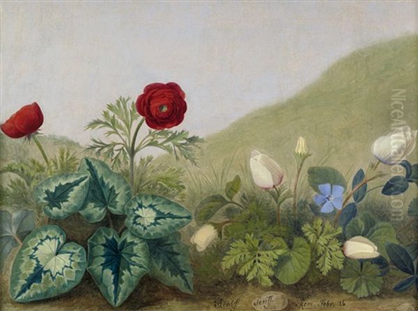 Wiesenstuck Mit Ranunkeln Oil Painting by Adolf (Carl) Senff