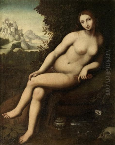 The Penitent Magdalen Oil Painting by Cesare da Sesto