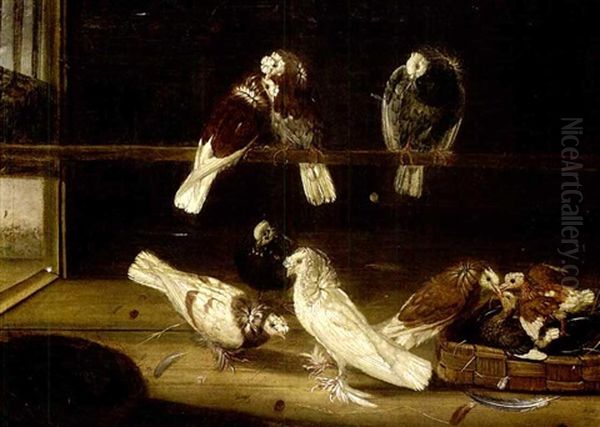 Taubenschlag Mit Mehreren Tauben Und Nest Oil Painting by Johann Friedrich Seupel