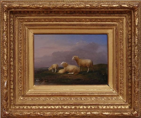 Sheep And Ducks Near A Pond Oil Painting by Franz van Severdonck