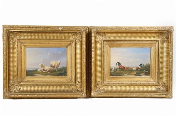 Pair Of Barnyard Portraits Oil Painting by Franz van Severdonck