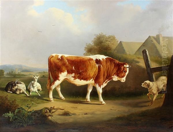 Study Of A Dog Confronting A Bull Oil Painting by Franz van Severdonck