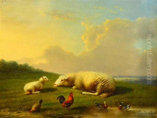 Rural Landscape With Sheep, Lamb, Hen And Ducks In The Foreground Oil Painting by Franz van Severdonck