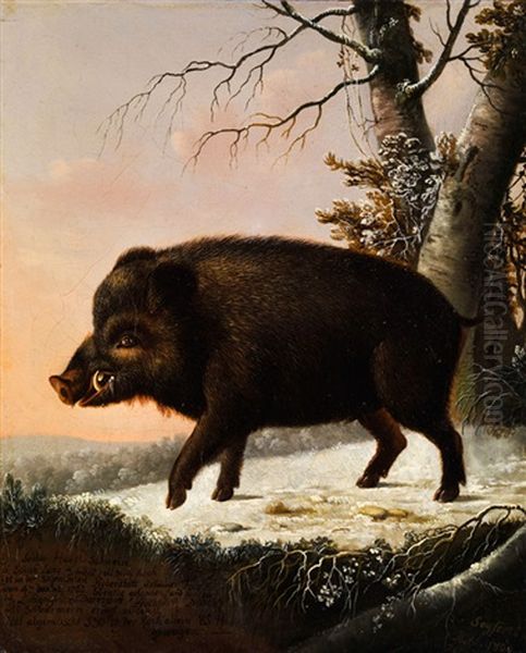 Portrait Eines Wildschweins Oil Painting by Eligius Baron von Seyfert