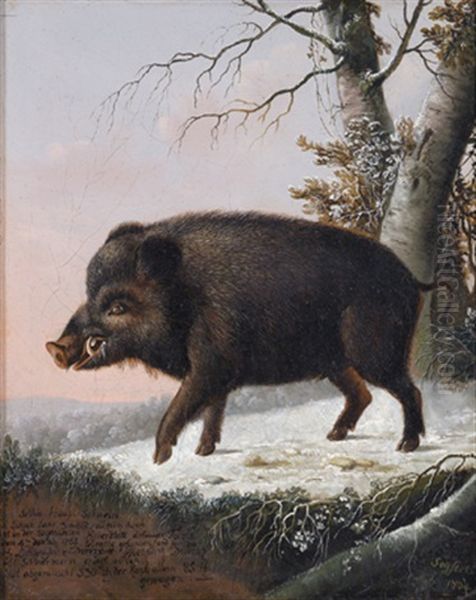 Portrat Eines Wildschweins Oil Painting by Eligius Baron von Seyfert