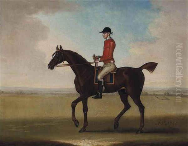 Mr John Martindale's Chestnut Racehorse Sedbury, With Jockey Up Oil Painting by James Seymour