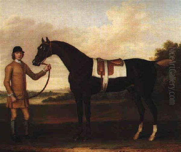 Lord Strange's Dark Bay Racehorse, 