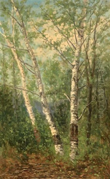 Birches At Jackson, New Hampshire Oil Painting by Frank Henry Shapleigh