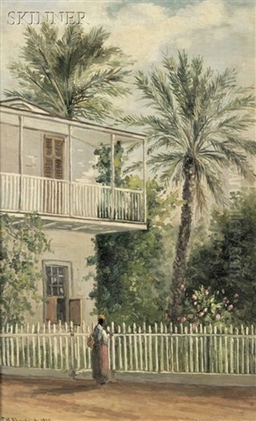 Dr. Pack's Palm Trees, St. Augustine, Fla Oil Painting by Frank Henry Shapleigh