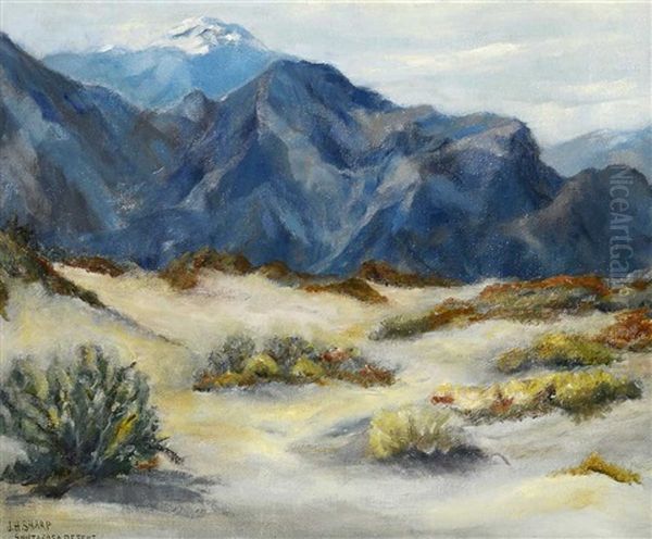 Santa Rosa Desert Oil Painting by Joseph Henry Sharp