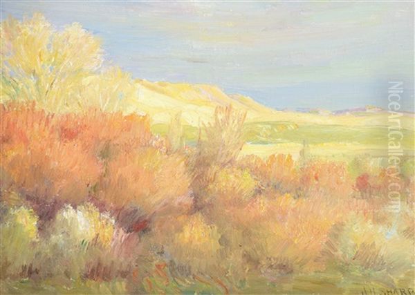 Sage Country Oil Painting by Joseph Henry Sharp