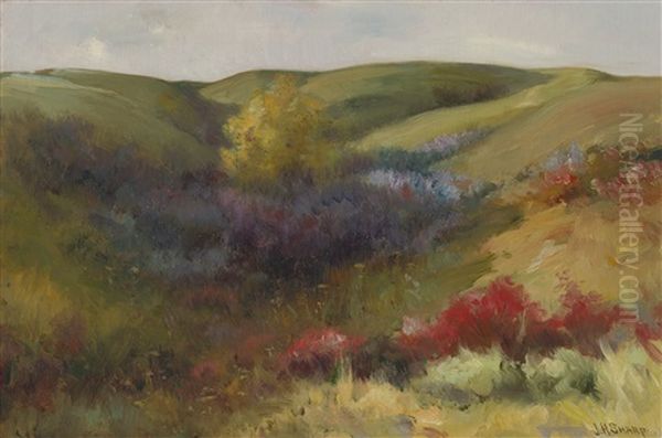 Rolling Hills by Joseph Henry Sharp