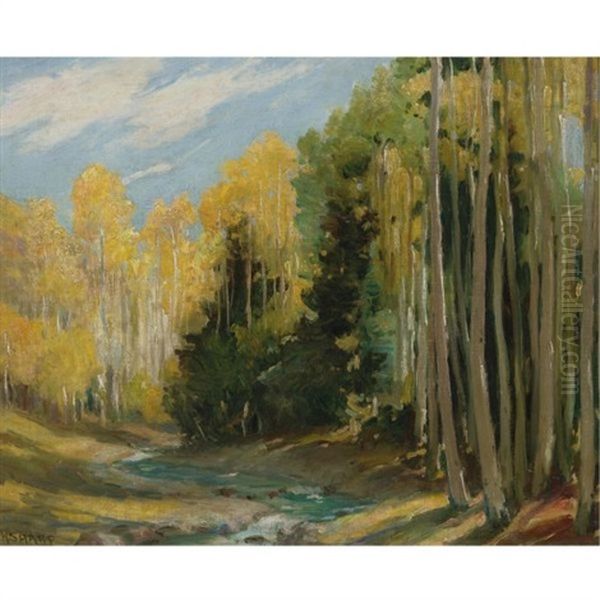 Aspen Forest, Hondo Canyon Near Taos (aspen Faces) by Joseph Henry Sharp