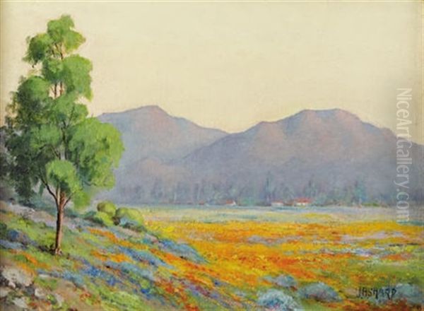 California Field Of Poppies by Joseph Henry Sharp