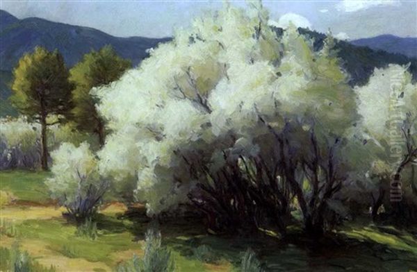 Wild Plum Blossom Near The Pueblo by Joseph Henry Sharp