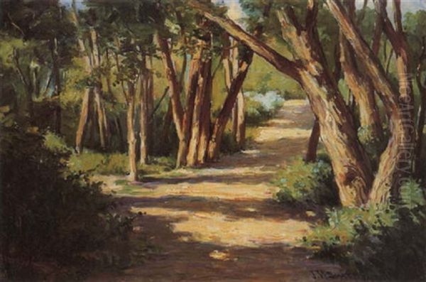 Park Along The Cottonwoods-taos Oil Painting by Joseph Henry Sharp