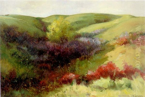 Rolling Hills Oil Painting by Joseph Henry Sharp