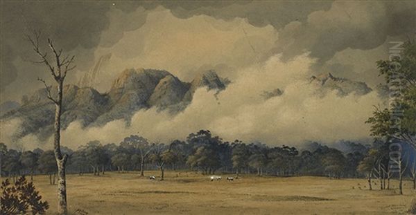 Bucket Mountains, Gloucester, New South Wales Oil Painting by Alfred Sharpe