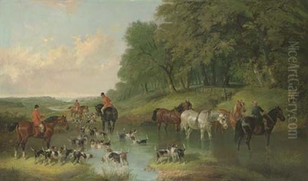 Hounds Fording A Stream Oil Painting by Charles Shayer