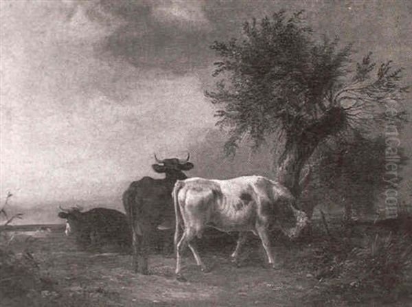 Cattle Grazing Oil Painting by Charles Shayer