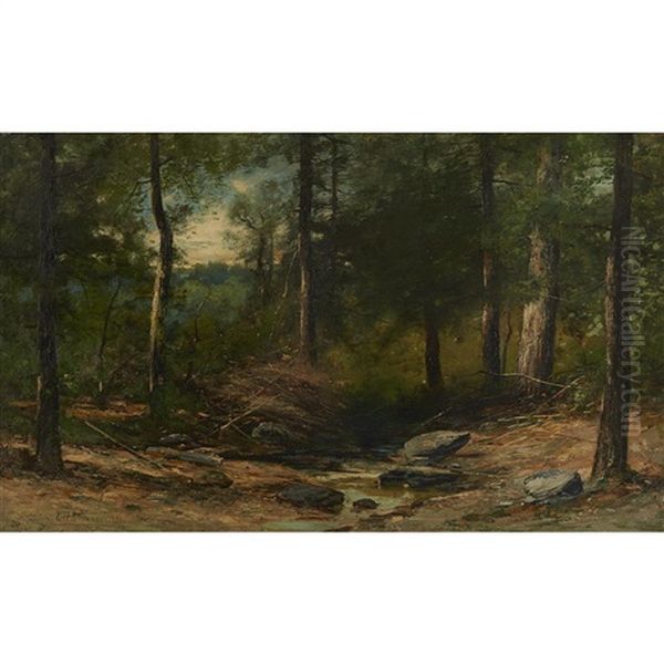 Woodland Stream Oil Painting by Christopher H. Shearer