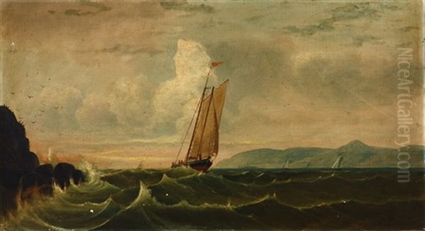 Sailing In San Francisco Bay Oil Painting by Charles Dyer Shed