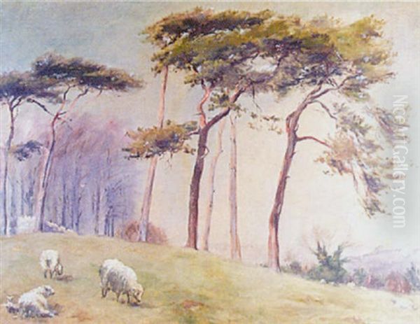 Sheep In A Landscape Oil Painting by Henry Inglis Jodriel Sheldon-Williams