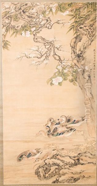 Bird And Flower Oil Painting by  Shen Quan