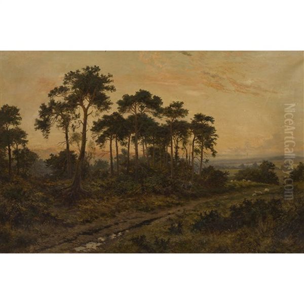 Near Oxshott, Surrey Oil Painting by Daniel Sherrin