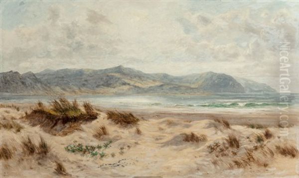 Dunes On A Welsh Coast Oil Painting by Daniel Sherrin