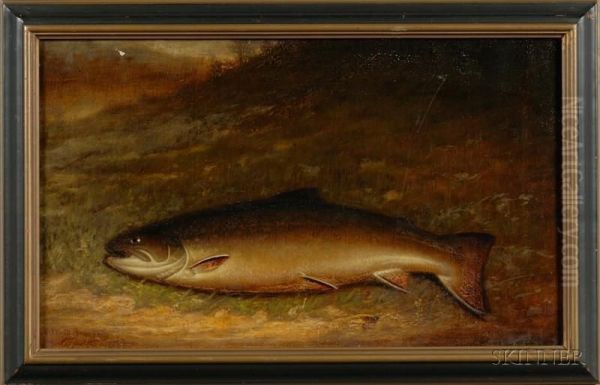 Brown Trout With Fly Oil Painting by Walter M. Brackett