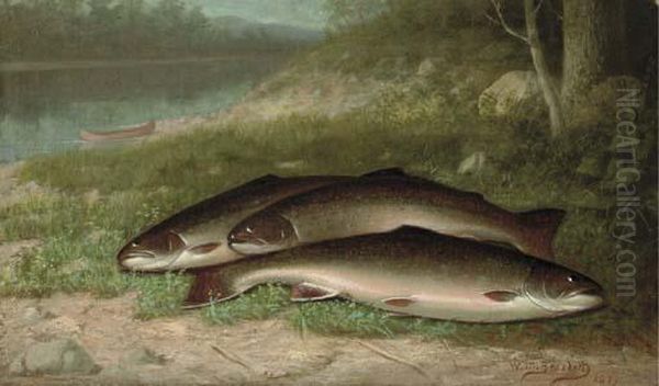 Trout On A River Bank Oil Painting by Walter M. Brackett