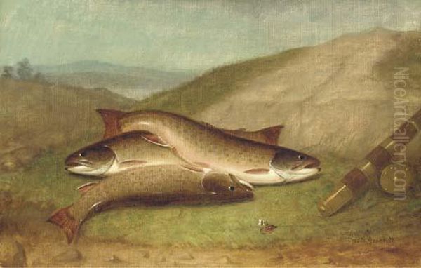 Catch Of The Day - Trout On A Riverbank Oil Painting by Walter M. Brackett