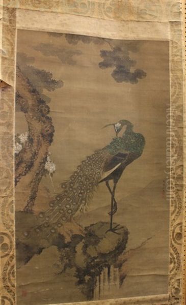 Peacock In A Landscape Oil Painting by  Shiseki