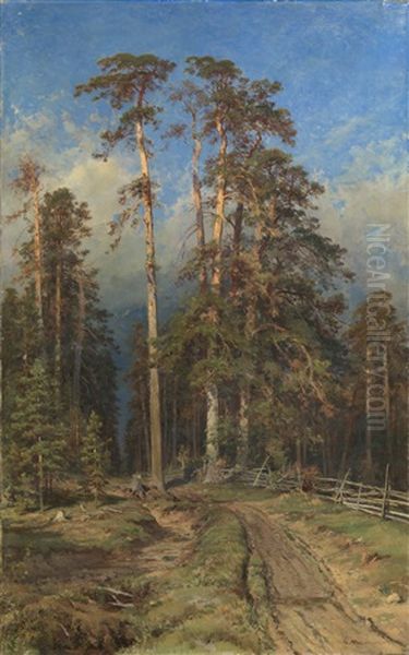 Pine Forest. Yelabuga by Iwan Iwanowicz Shishkin