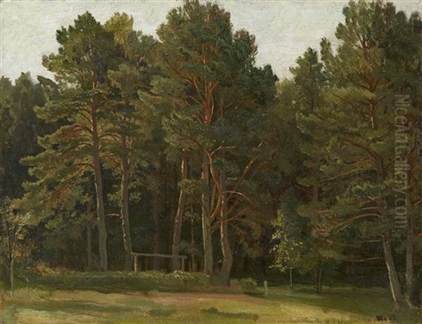 Pine Forest Clearing Oil Painting by Iwan Iwanowicz Shishkin