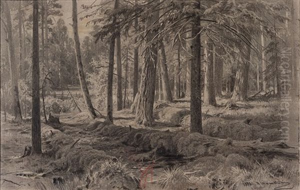 Forest Oil Painting by Iwan Iwanowicz Shishkin