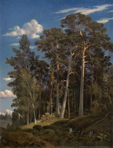 Pine Forest Oil Painting by Iwan Iwanowicz Shishkin