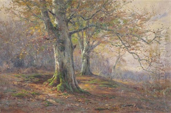 Autumn In The Woods Oil Painting by Frederick Golden Short