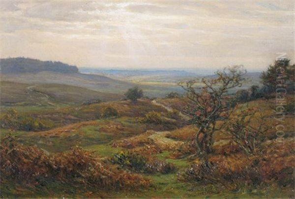 Near Burley In The New Forest Oil Painting by Frederick Golden Short